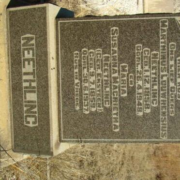 NEETHLING Marthinus Louwrensus 1858-1948 &amp; Maria Susanna Magrietha EKSTEEN 1859-1937