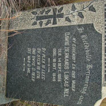 NEL Dawid Hermanus Lukas 1888-1949