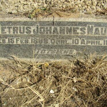 NAUDE Petrus Johannes 1888-1948