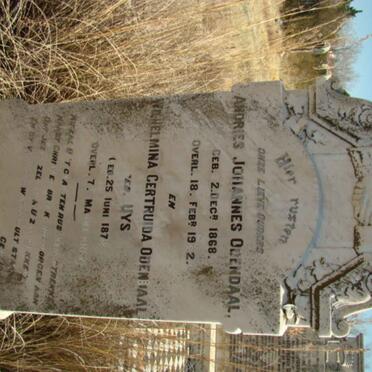 ODENDAAL Andries Johannes 1868-19?2 &amp; Wilhelmina Gertruida UYS 187?-?