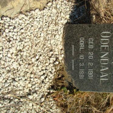 ODENDAAL Chris 1901-1981