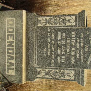 ODENDAAL Willem Adriaan 1865-1939