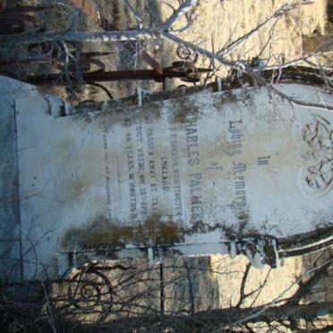 PALMER Charles -1896