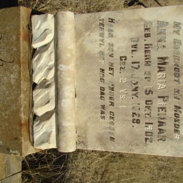 PIENAAR Anna Maria nee HERN 1902-1929