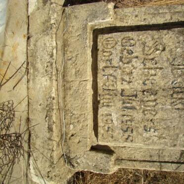 SCHEEPERS Baba 1955-1955