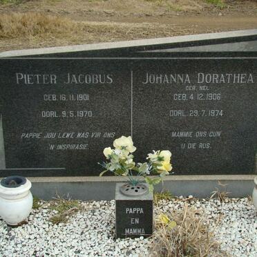 SCOTT Pieter Jacobus 1901-1970 &amp; Johanna Dorathea NEL 1906-1974