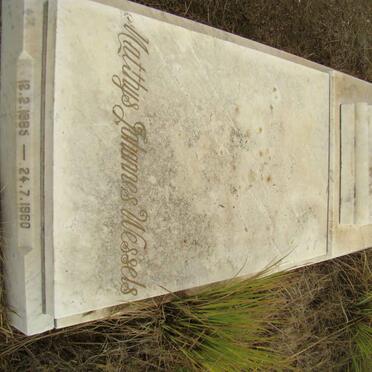 WESSELS Matthys Johannes 1885-1960