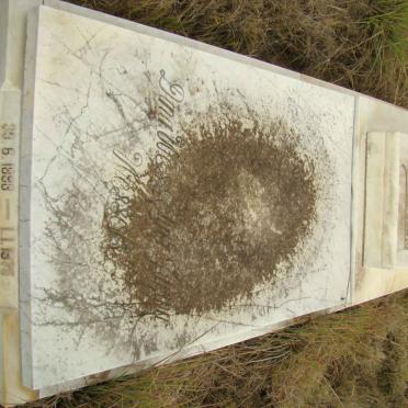 WESSELS Dina Wesselina Jurina 1893-1975