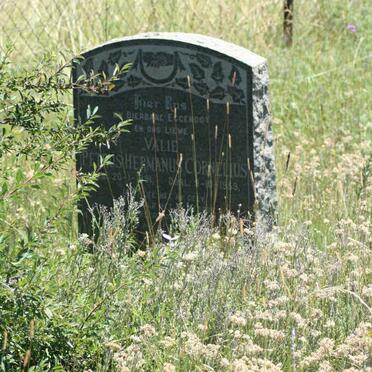 ROOYEN Petrus Hermanus Cornelius, van 1891-1953