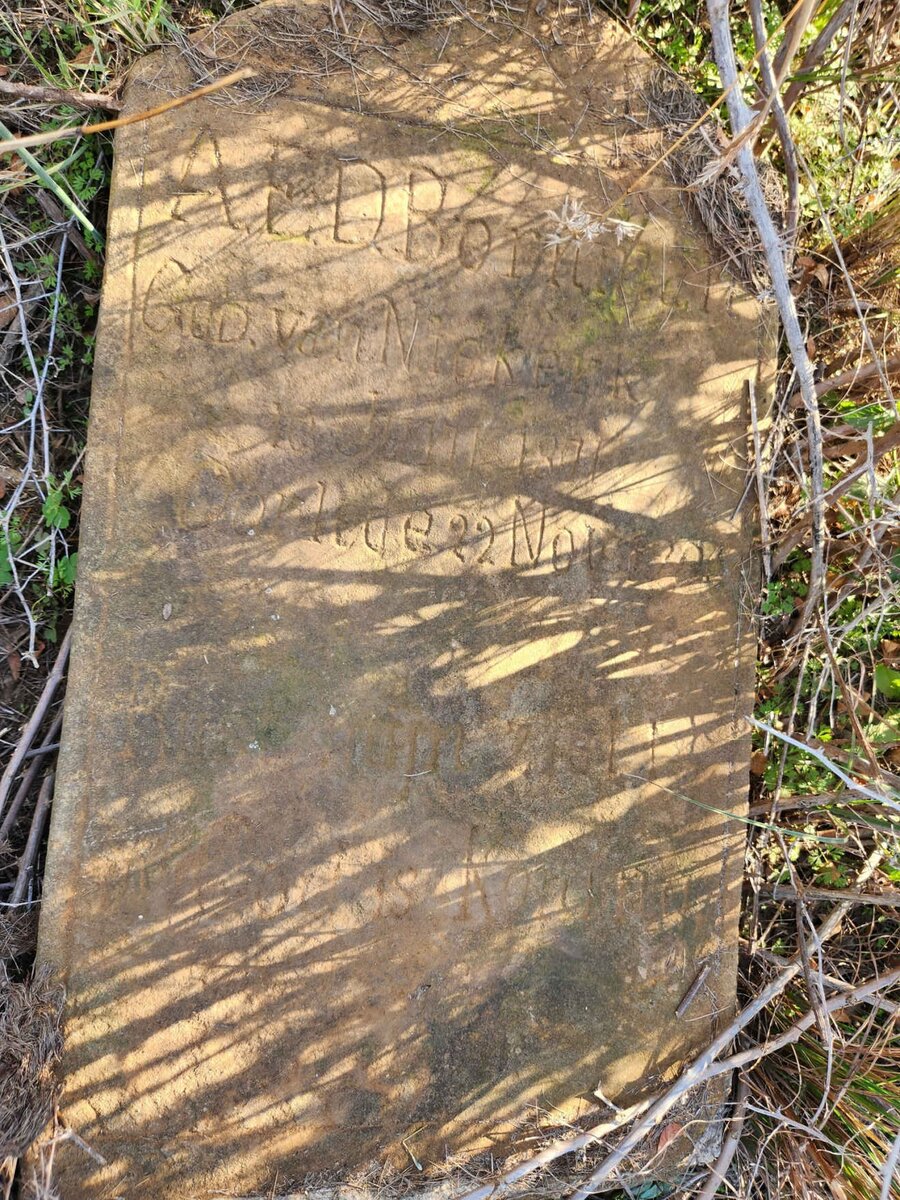 BORNMAN A.E.D. nee VAN NIEKERK 1871-1906