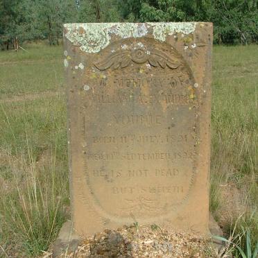 Y - Surnames :: Vanne - Y