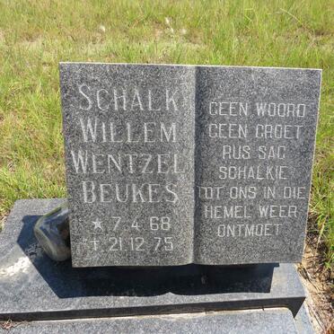 BEUKES Schalk Willem Wentzel 1968-1975