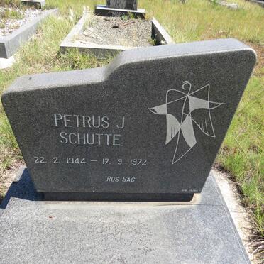 SCHUTTE Petrus J. 1944-1972