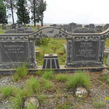 SWART Hermantjie 1947-1954 :: SWART Trynie 1949-1954 :: SWART Lenatjie 1952-1954