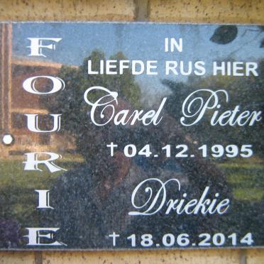 FOURIE Carel Pieter -1995 &amp; Driekie -2014
