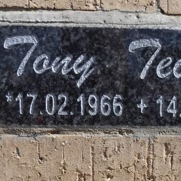 TEIXEIRA Tony 1966-2013