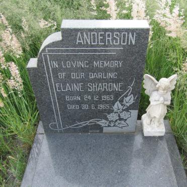 ANDERSON Elaine Sharone 1963-1965