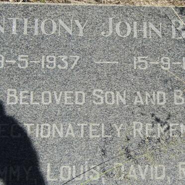 BELL Anthony John 1937-1954