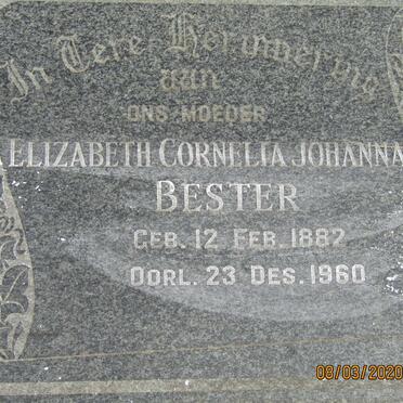 BESTER Elizabeth Cornelia Johanna 1882-1960