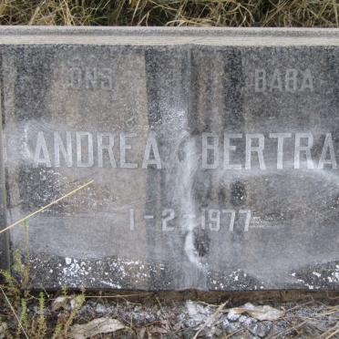 BERTRAM Andrea -1977