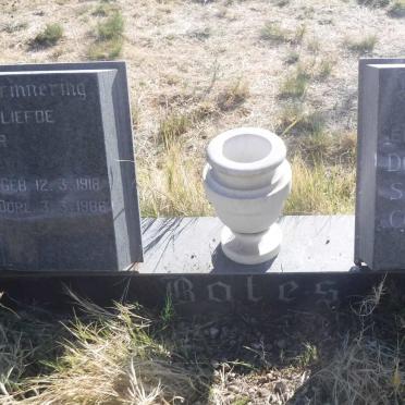 BOTES Pieter Willem 1918-1986 &amp; Dorethea Susanna Cornelia 1917-1979