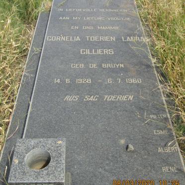 CILLIERS Cornelia Toerien Laura nee DE BRUYN 1928-1960 :: CILLIERS Albert 1958-1996