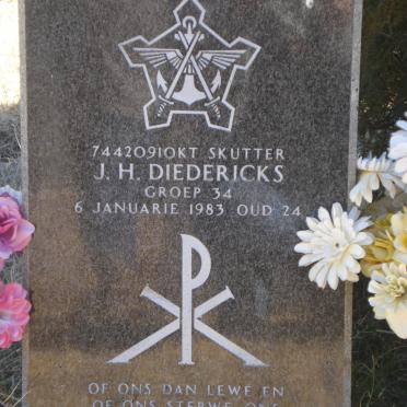 DIEDERICKS J.H. -1983