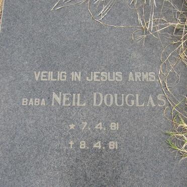 DOUGLAS Neil 1981-1981