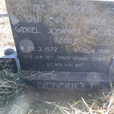 DIEDERICKS Gabriel Johannes Jacobus 1972-1998