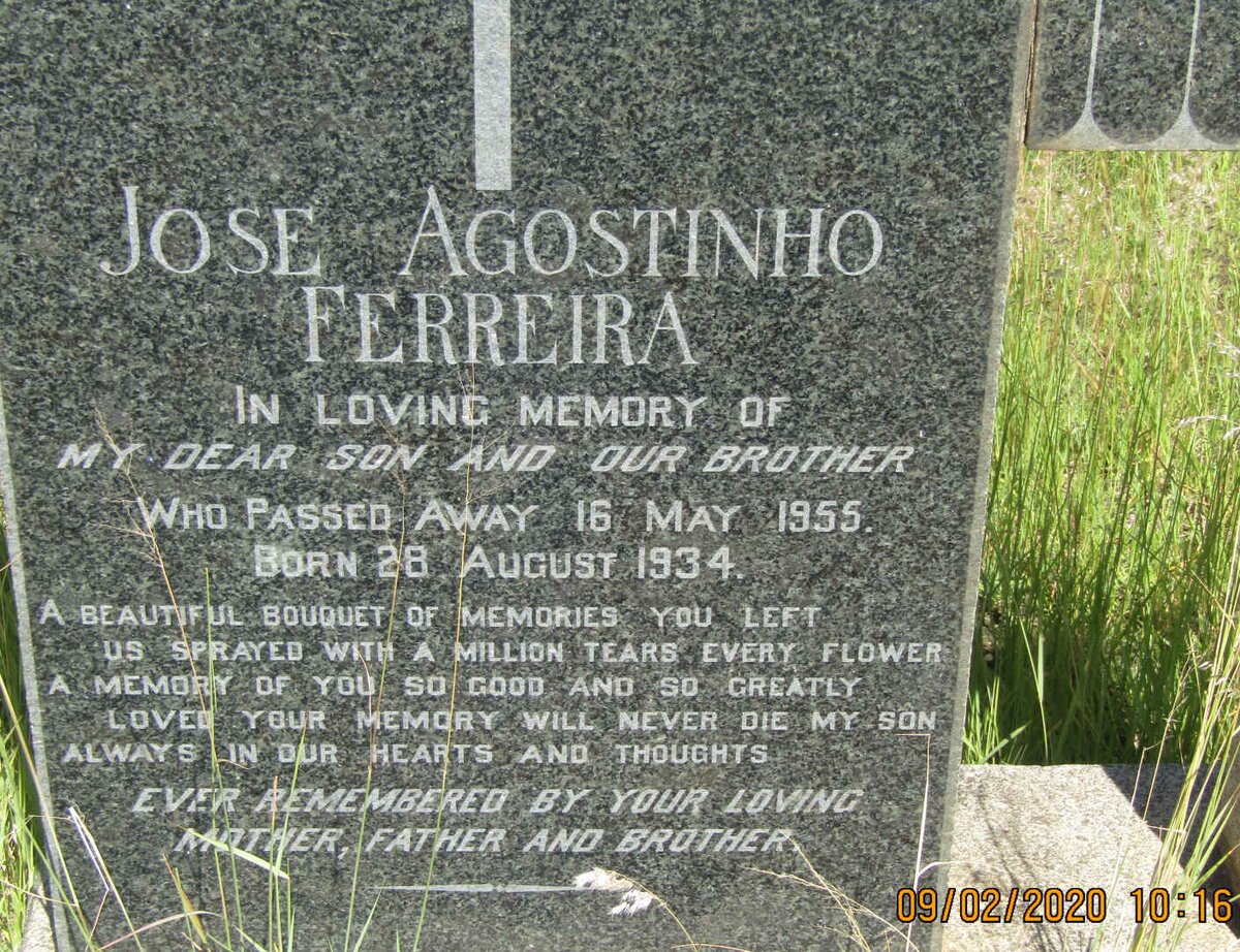 FERREIRA Jose Agostinho 1934-1955