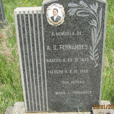 FERNANDES A.D. 1935-1963