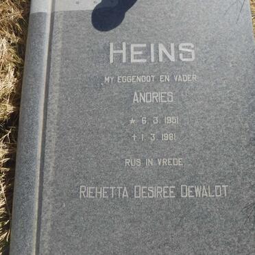 HEINS Andries 1951-1981