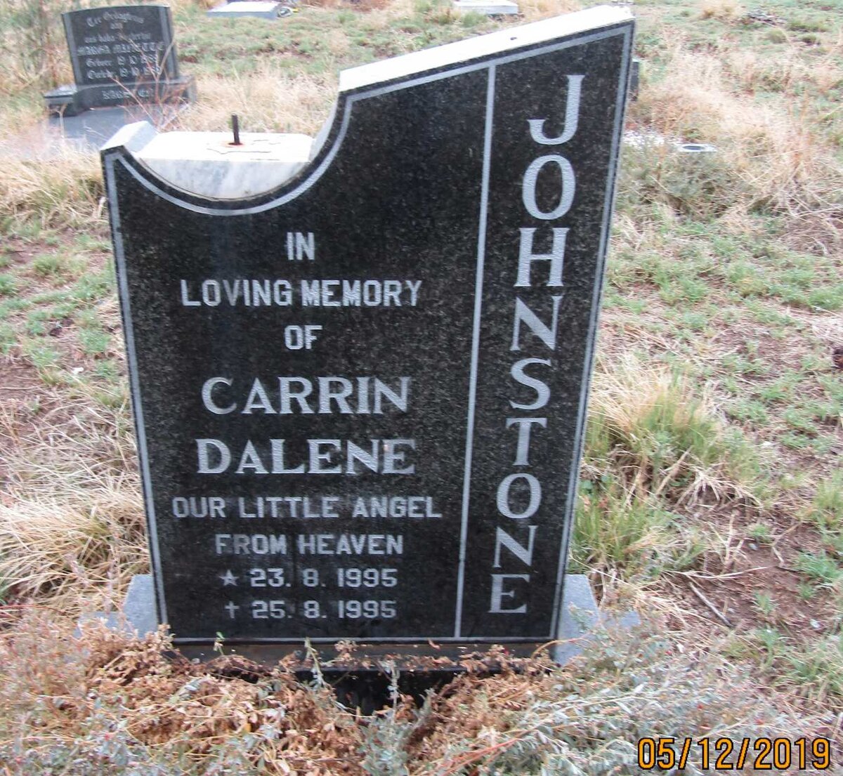 JOHNSTONE Carrin Dalene 1995-1995