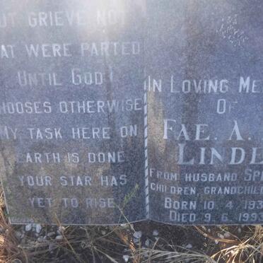 LINDE Fae A.I.1936-1993