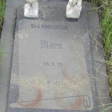 MEYER Mara 1972-1972