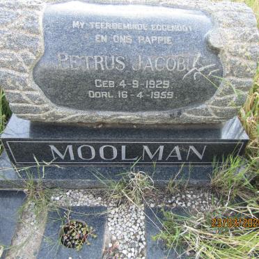 MOOLMAN Petrus Jacobus 1929-1959