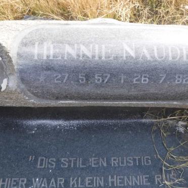 NAUDE Hennie 1957-1982