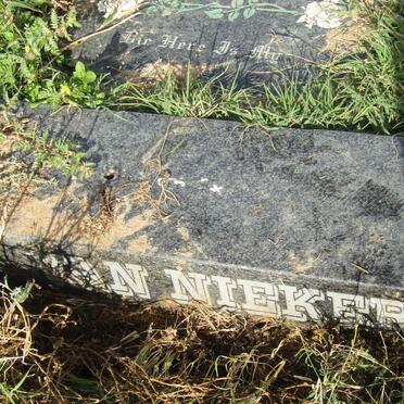 NIEKERK Marina, van 1949-2011