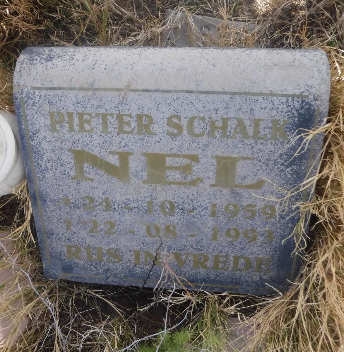 NEL Pieter Schalk 1959-1993