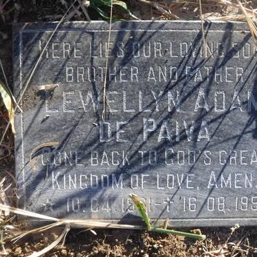 PAIVIA Llewellyn Adam, de 1981-1999