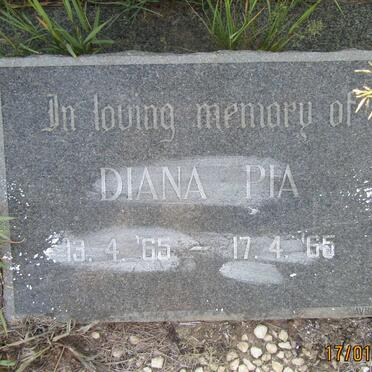 PIA Diana 1965-1965