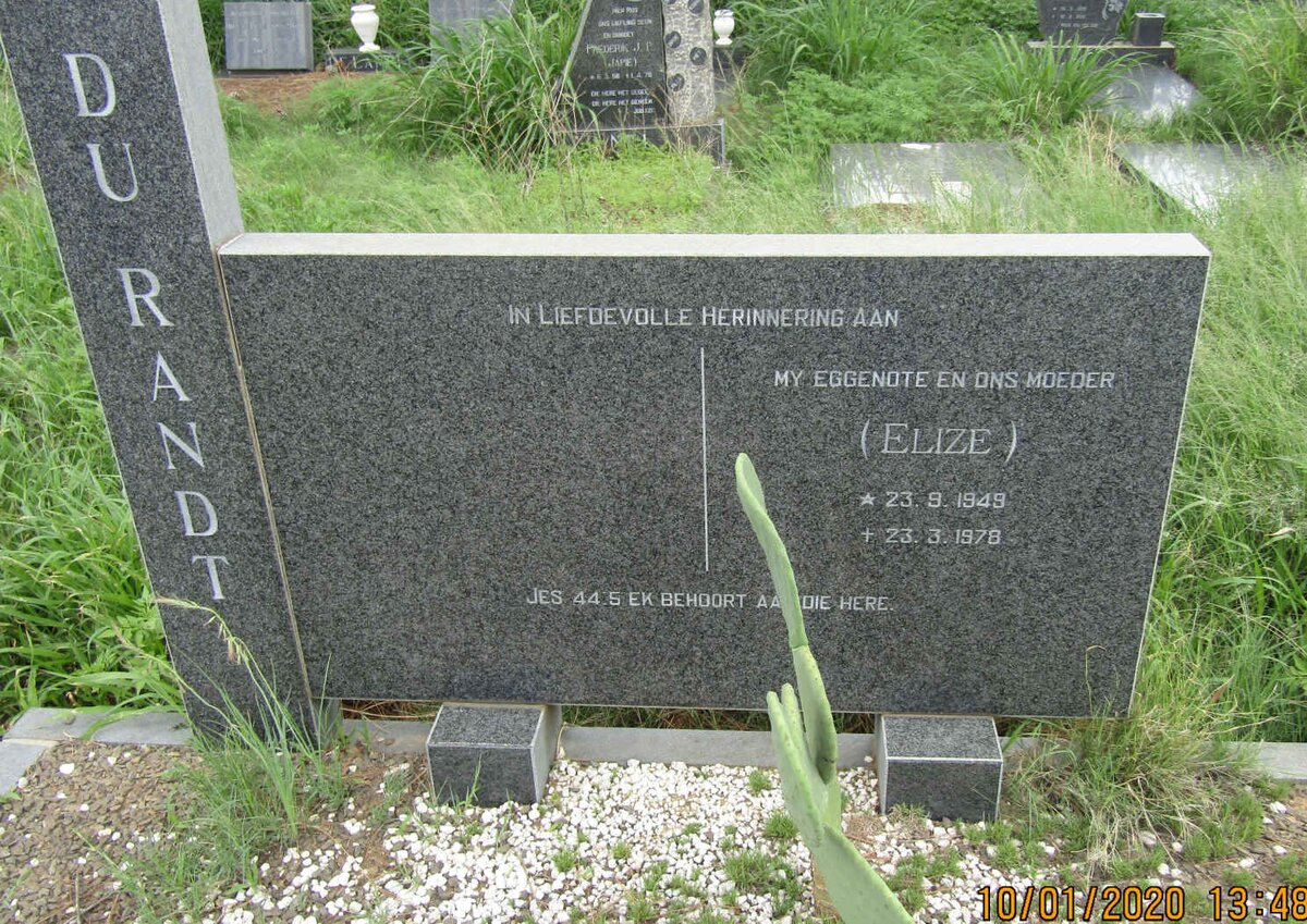 RANDT Elize, du 1949-1978