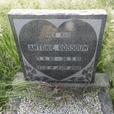 ROSSOUW Antonie 1965-1965