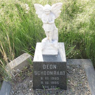 SCHOONRAAD Deon 1965-1965