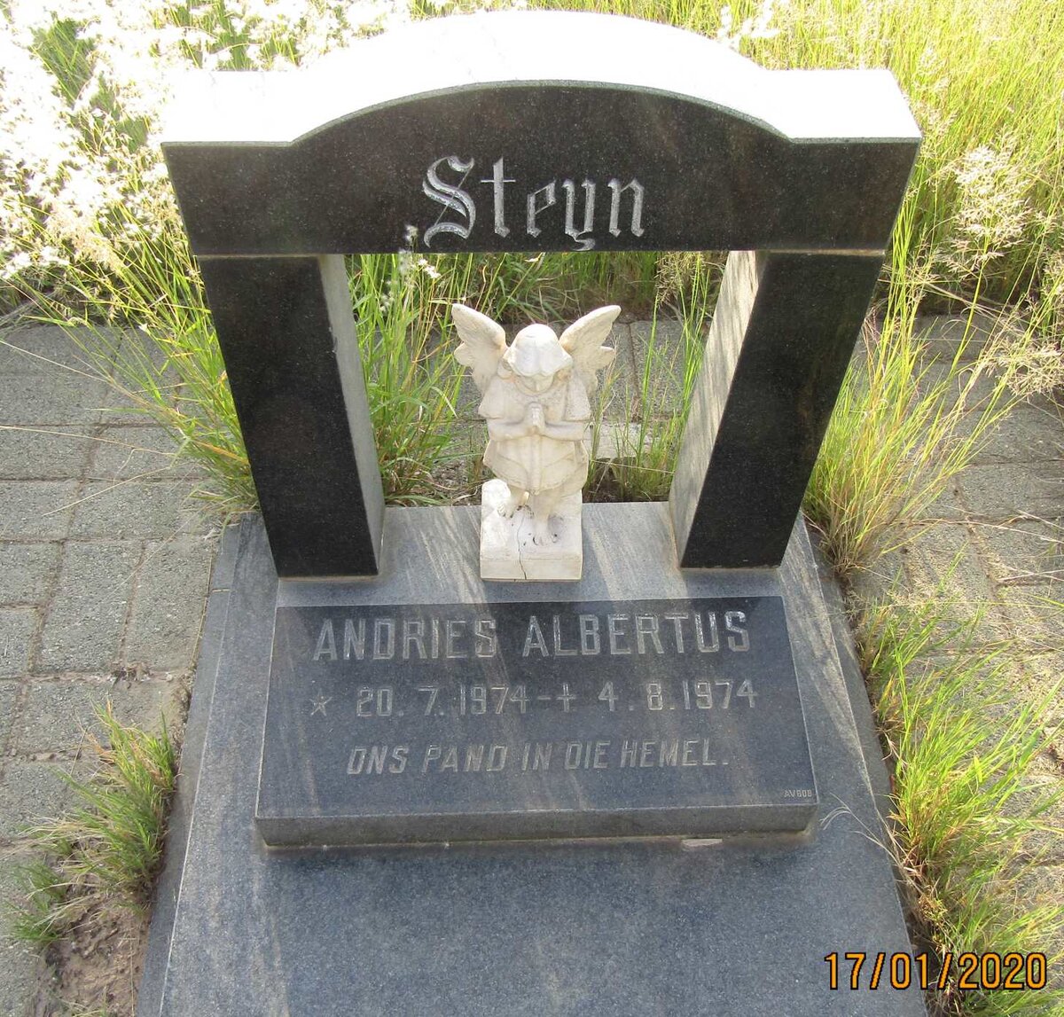 STEYN Andries Albertus 1974-1974