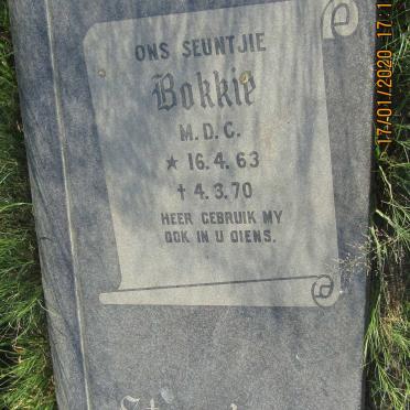 STEENKAMP M.D.C. 1963-1970