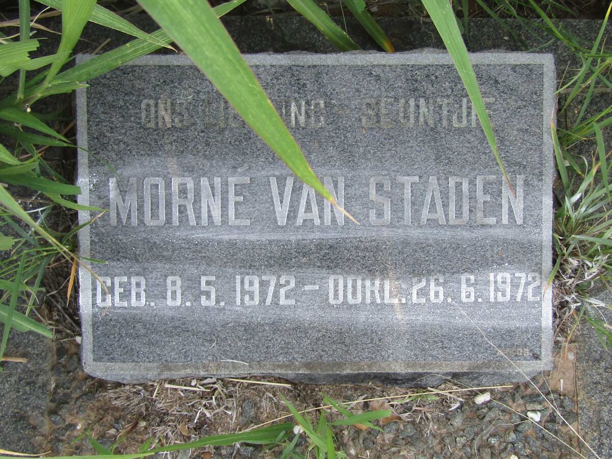 STADEN Morné, van 1972-1972