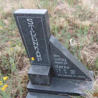 STEENKAMP Corne 1982-1991
