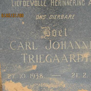 TRIEGAARDT Carl Johannes 1938-1969