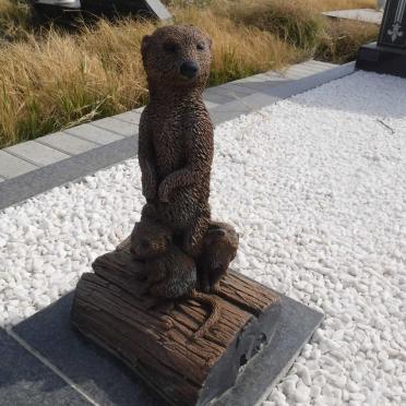 VENTER Willem Lodewikus 1918-1992 &amp; Christina Magdalena 1923-2002